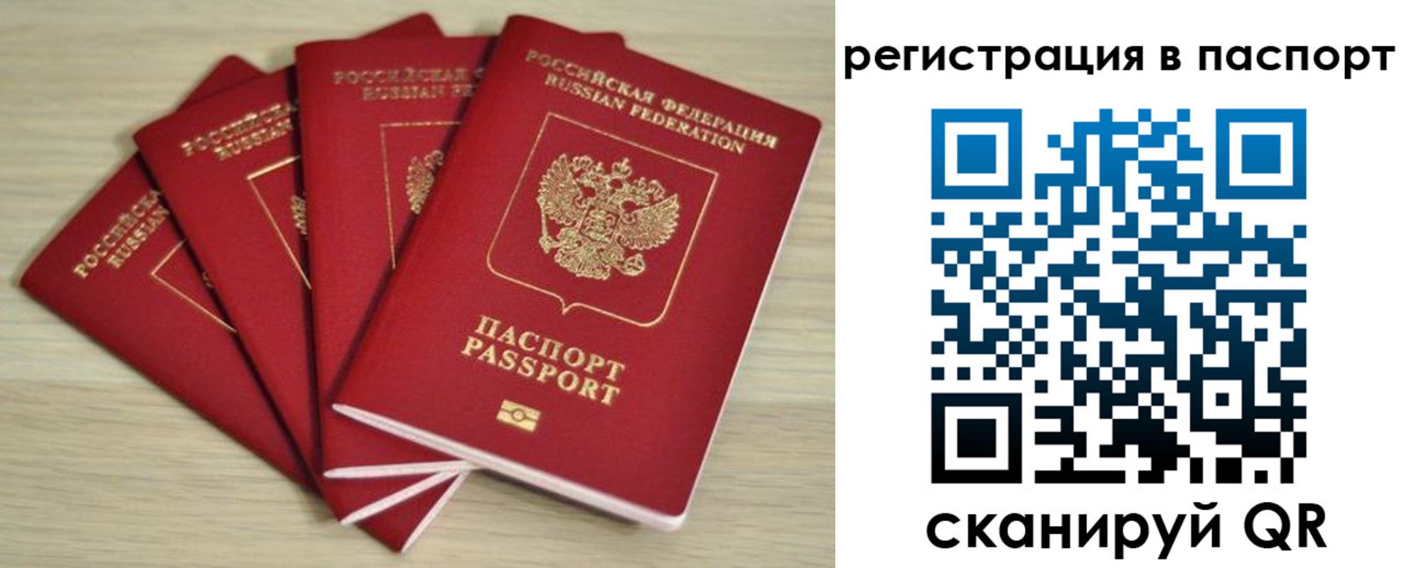 временная регистрация для школы в Ставропольском крае